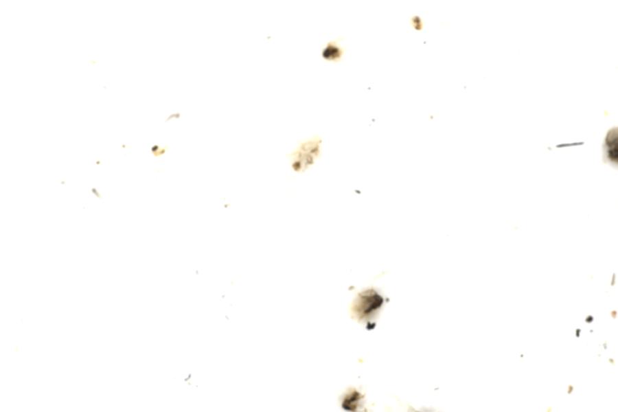 Image 67